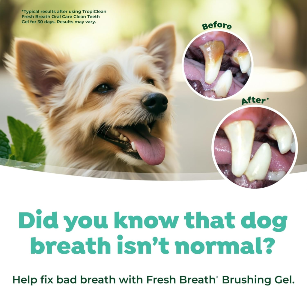 Amazon TropiClean Oral Care Brushing Gel for Dogs & Cats| Dog Toothpaste | Pet Dental Gel | Dog Teeth Cleaning Use with Pet Toothbrush | 2 oz - Honest Review and Buying guide