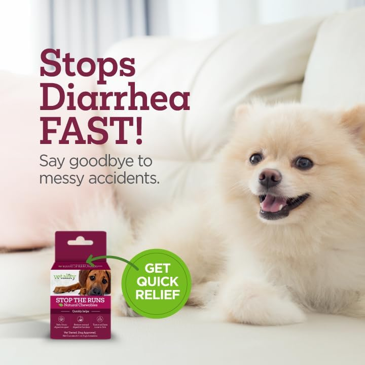 Amazon Vetality Stop The Runs | Dog Anti Diarrhea Medicine | 6 Count Chewable | Chicken Flavor - Honest Review and Buying Guide
