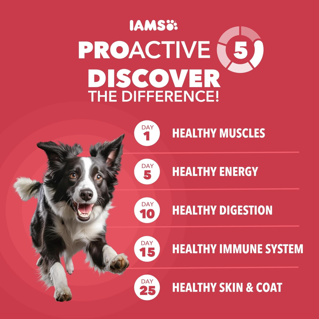 Amazon IAMS Proactive Health Dry Dog Food, Adult Dog Food Dry Recipe, Lamb & Rice, 30 lb. Bag - Reviews and Buying Guide