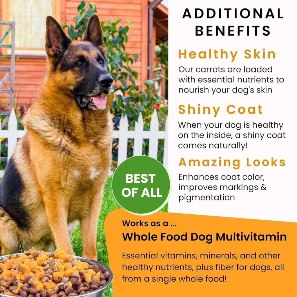 Amazon Olewo Original Carrots for Dogs – Fiber for Perfect Poop, Dehydrated Dog Food Toppers for Picky Eaters, Natural Skin & Coat Support, Multivitamin, Probiotics for Digestive & Gut Health, 1 lb - Reviews and Buying Guide